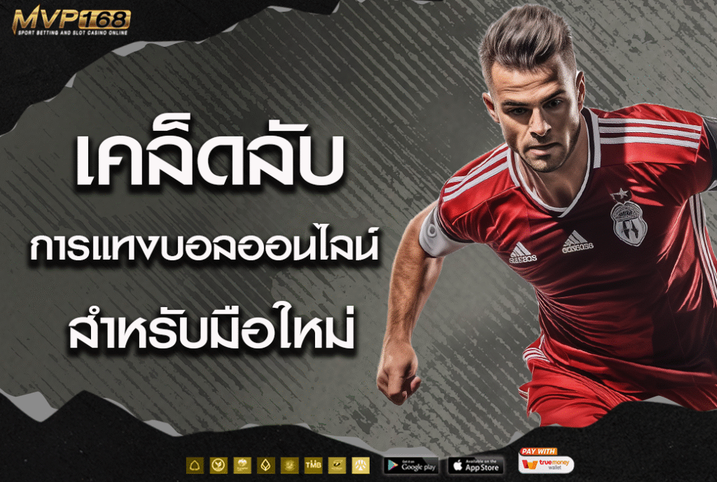 แทงบอล 4