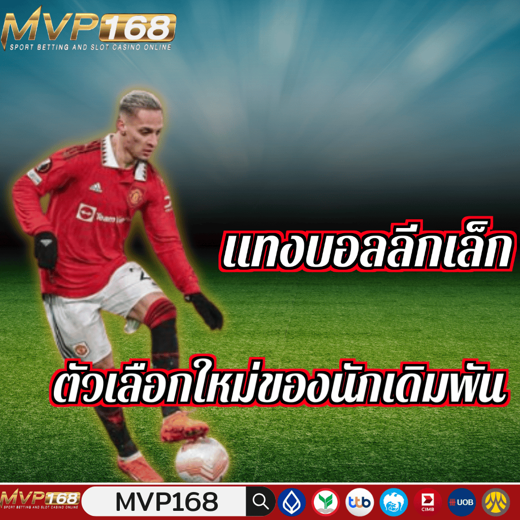 วิเคราะห์การแทงบอลลีกเล็กเพื่อเพิ่มโอกาสทำกำไร
